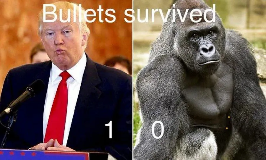 Untitled meme