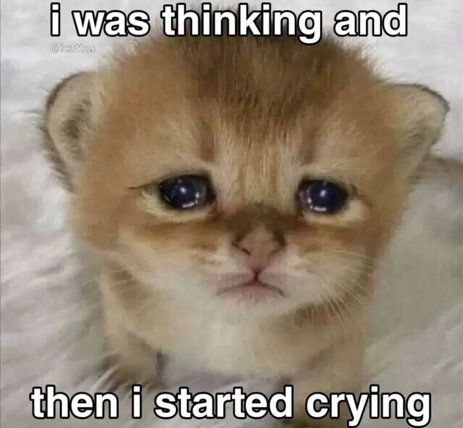 Untitled meme