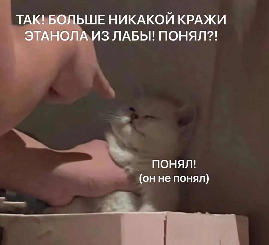 Untitled meme