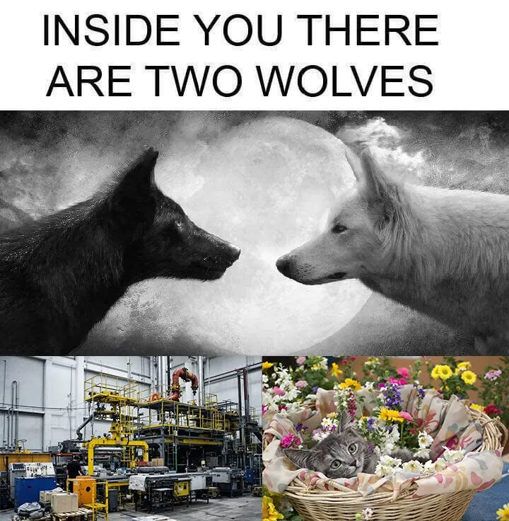 Untitled meme