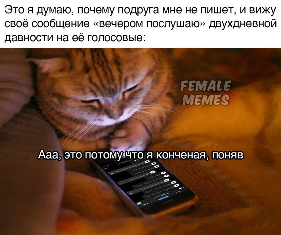 Untitled meme