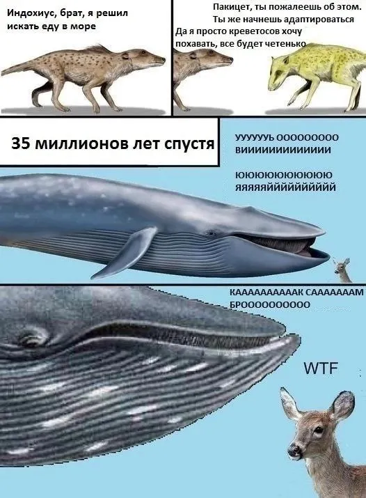 Untitled meme