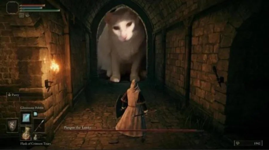 Untitled meme