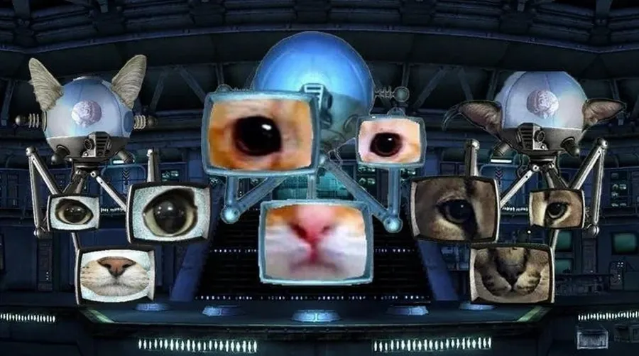 Untitled meme