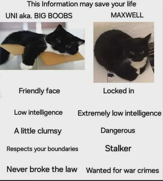 Untitled meme