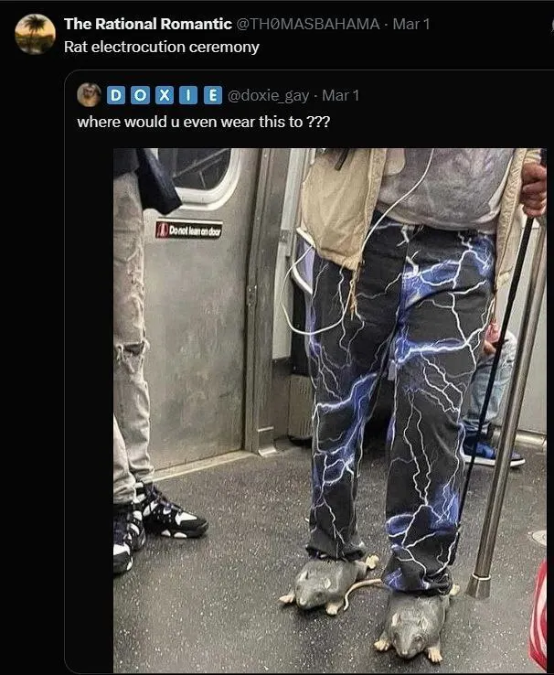 Untitled meme