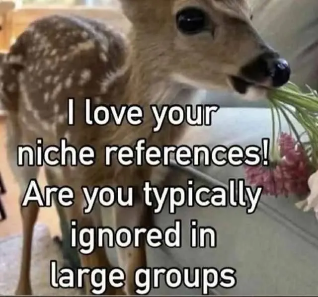 Untitled meme