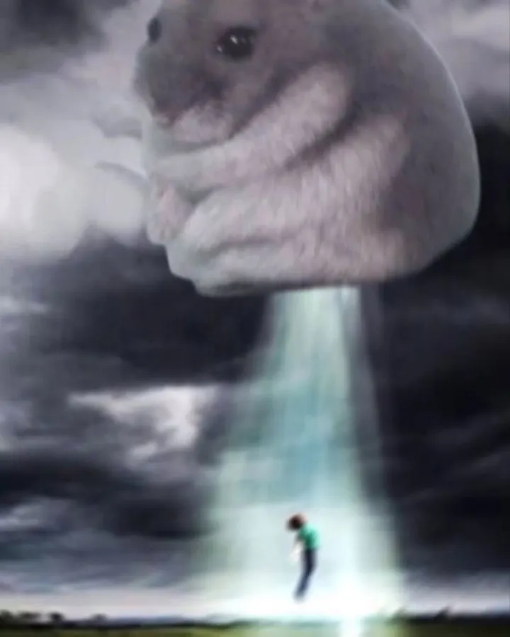 Untitled meme