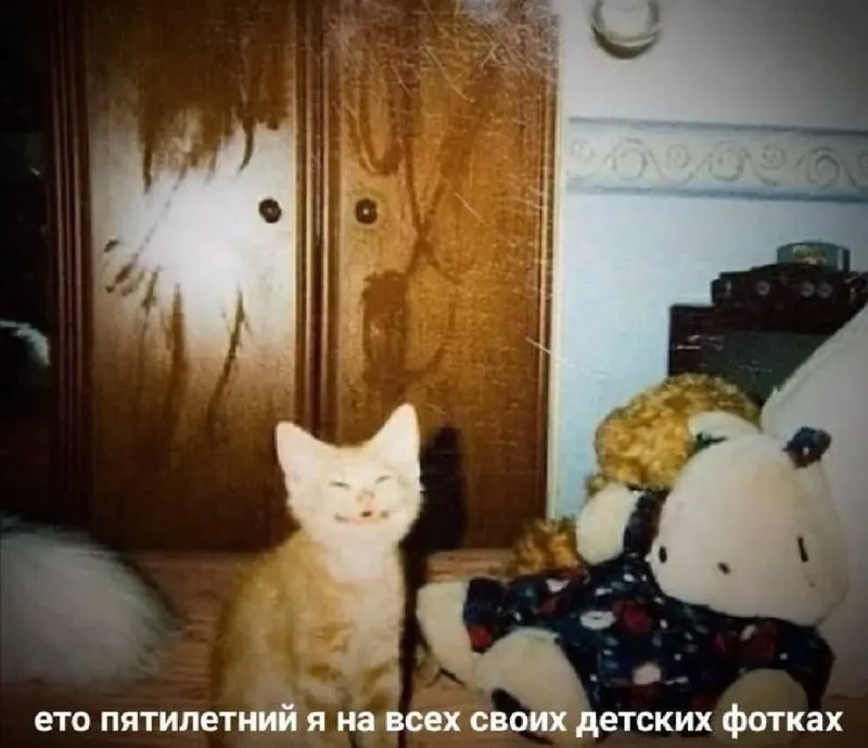 Untitled meme