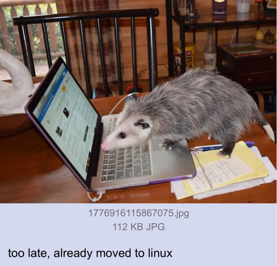 Untitled meme
