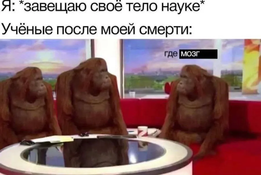 Untitled meme