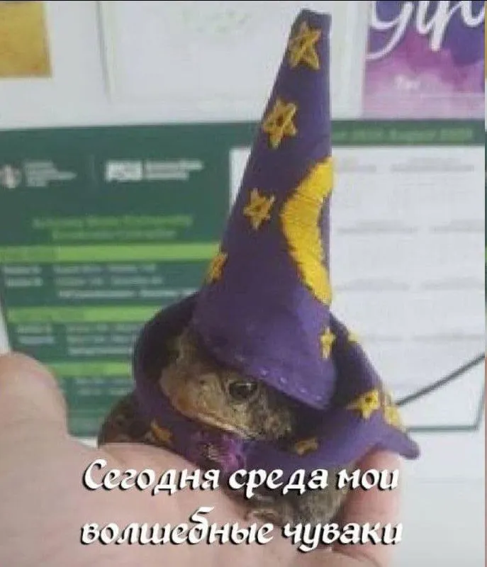 Untitled meme