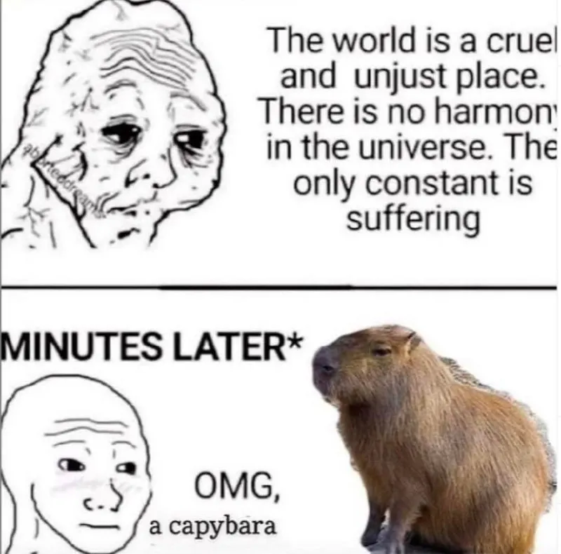 Untitled meme