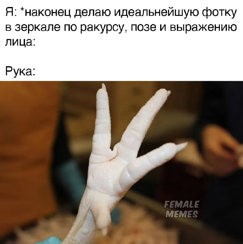Untitled meme