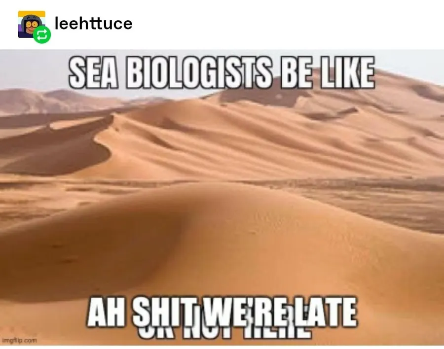 Untitled meme