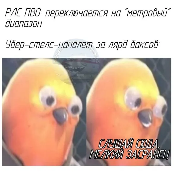 Untitled meme