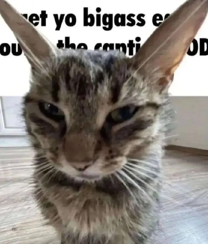 Untitled meme