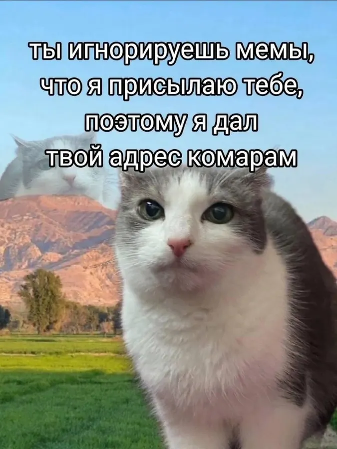 Untitled meme