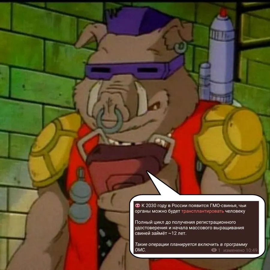 Untitled meme