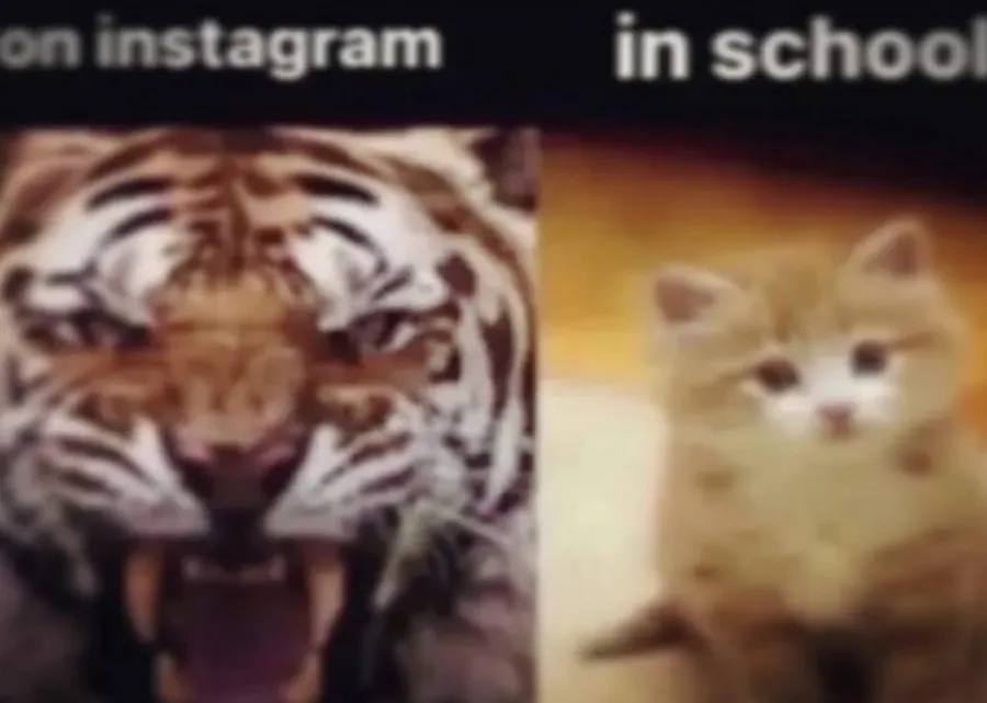 Untitled meme