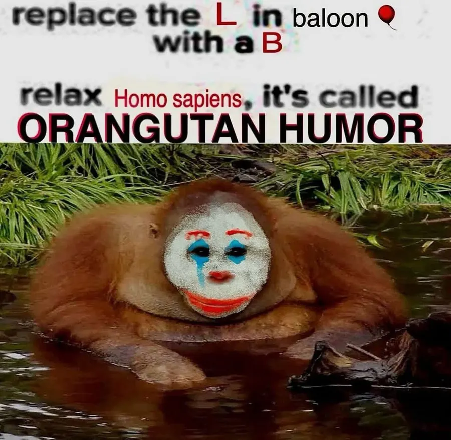 Untitled meme