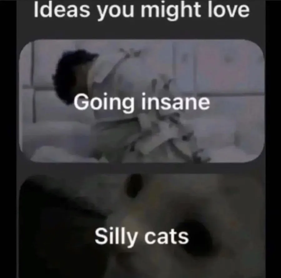 Untitled meme