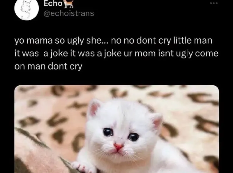 Untitled meme