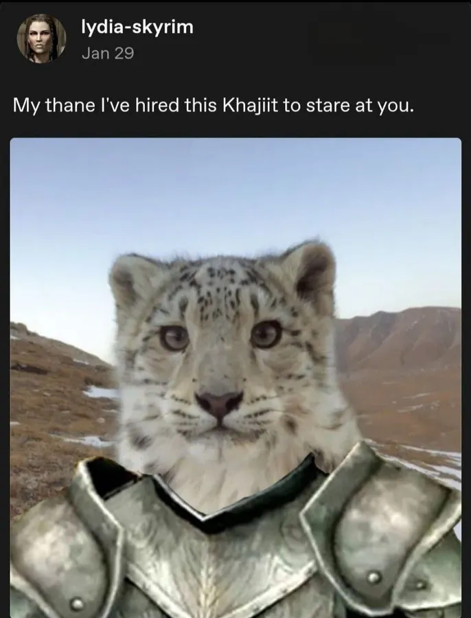 Untitled meme