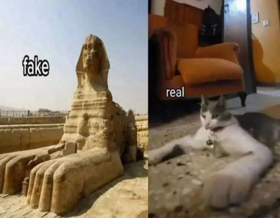 Untitled meme