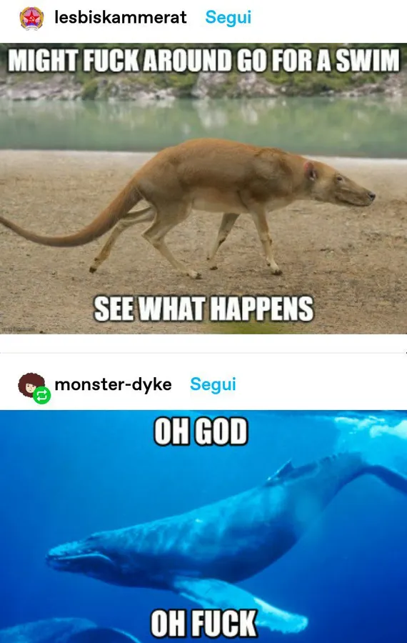 Untitled meme