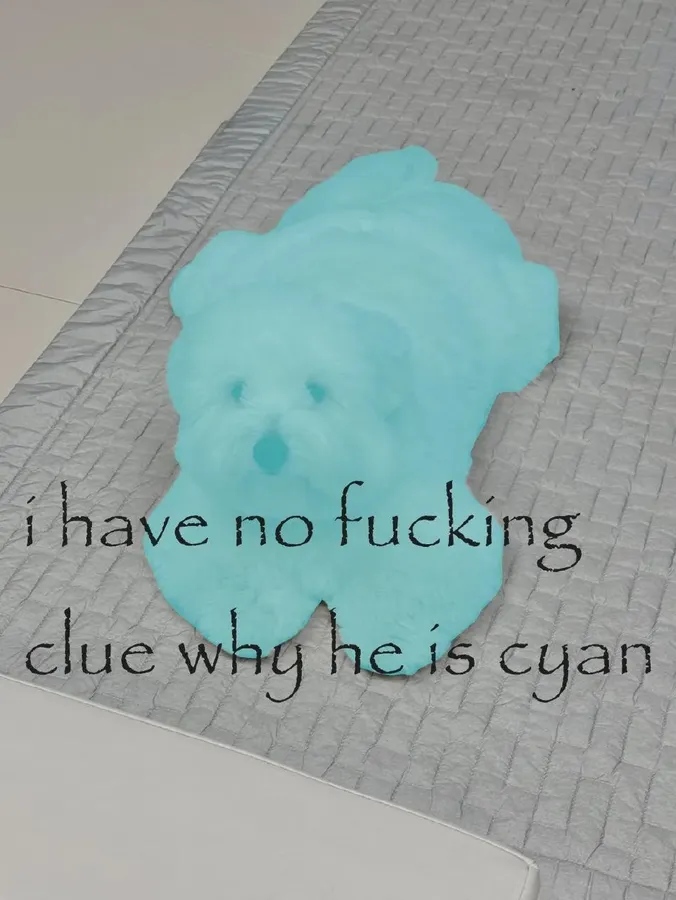 Untitled meme