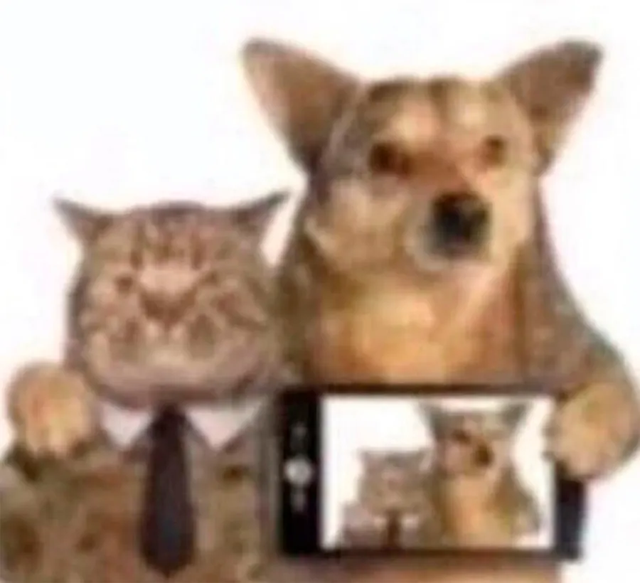 Untitled meme