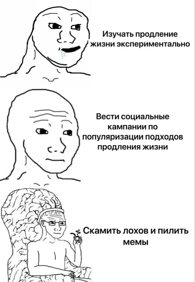 Untitled meme