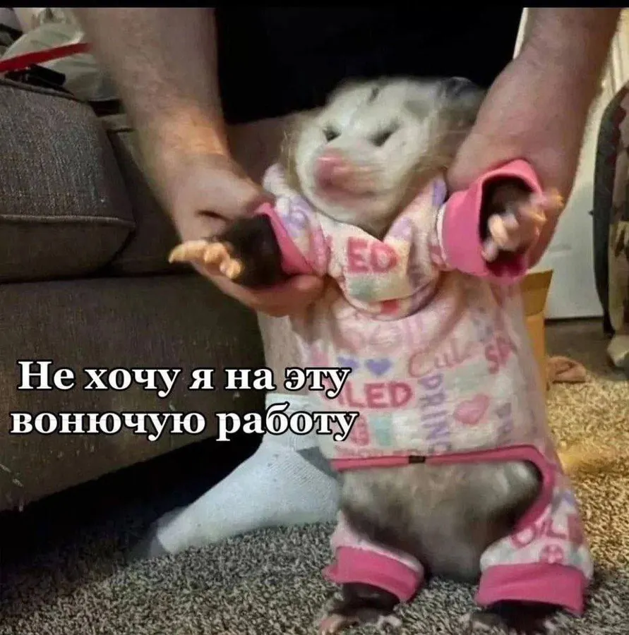 Untitled meme