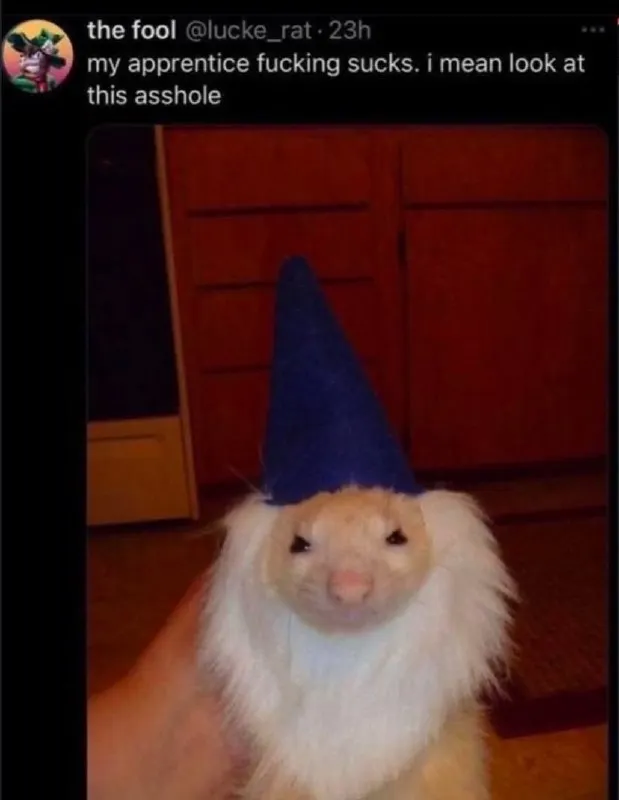Untitled meme