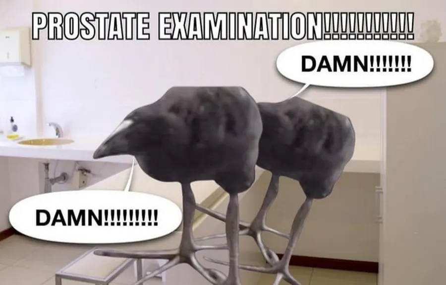 Untitled meme