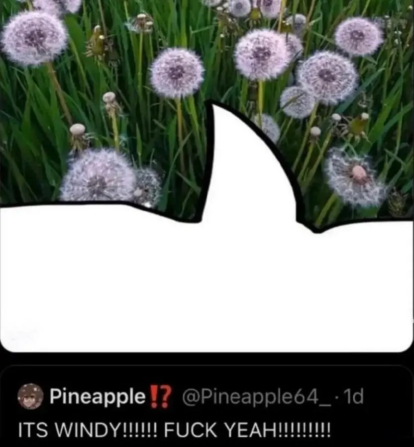 Untitled meme