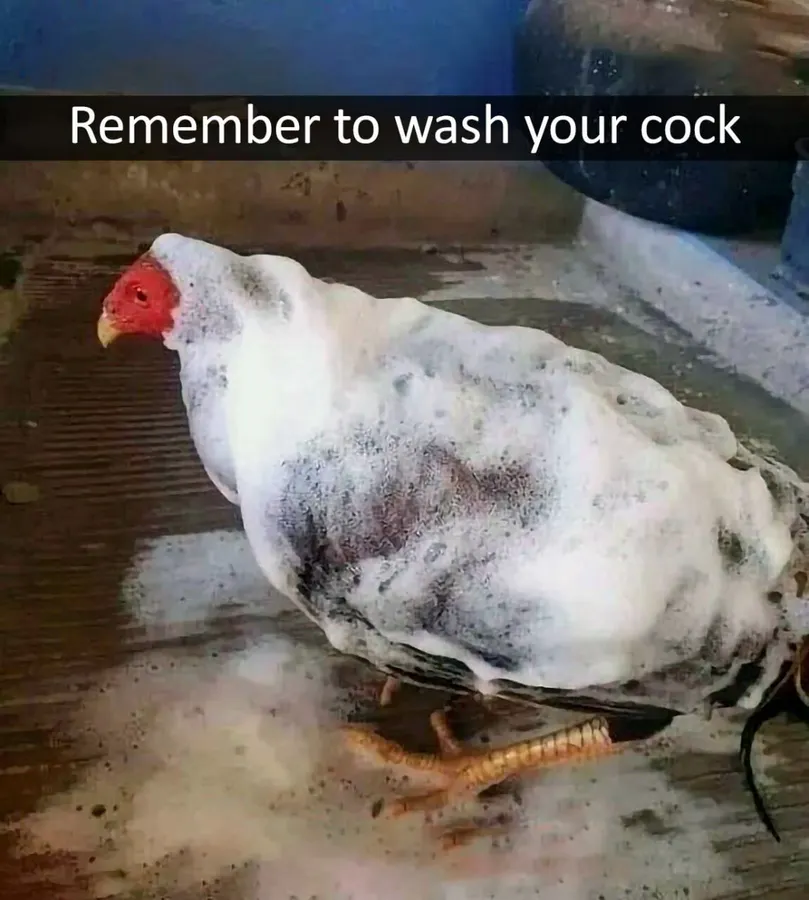 Untitled meme