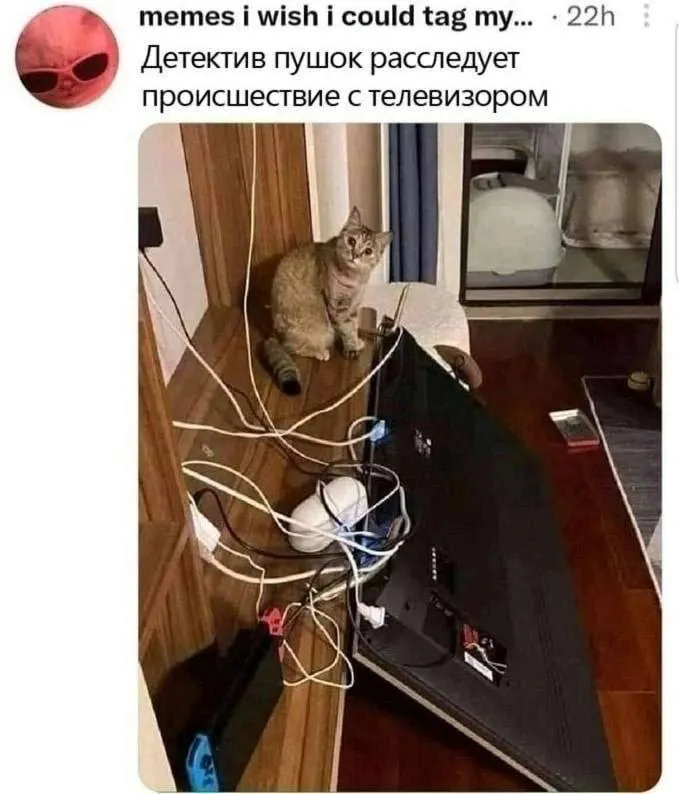 Untitled meme