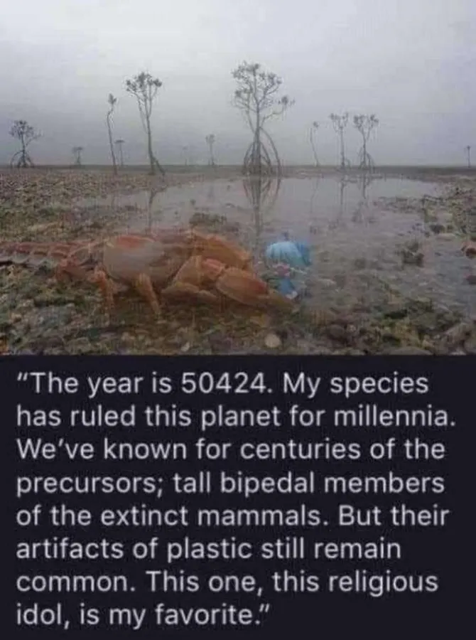 Untitled meme