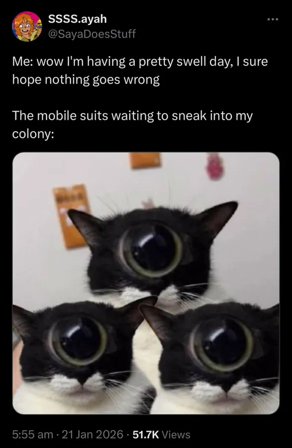 Untitled meme