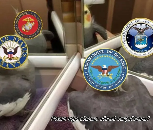 Untitled meme
