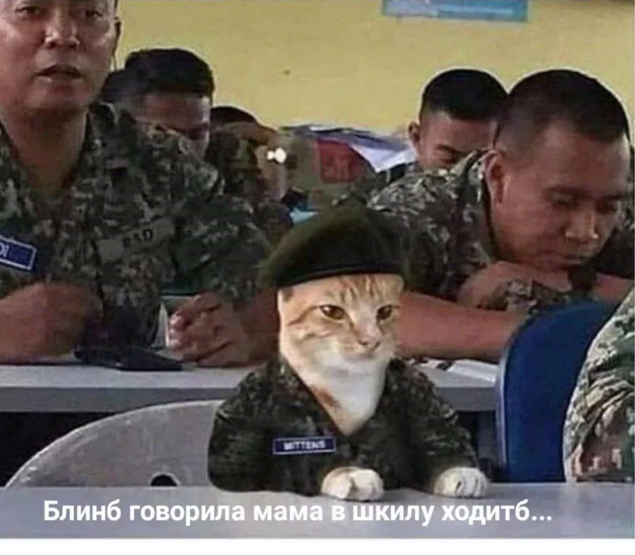 Untitled meme