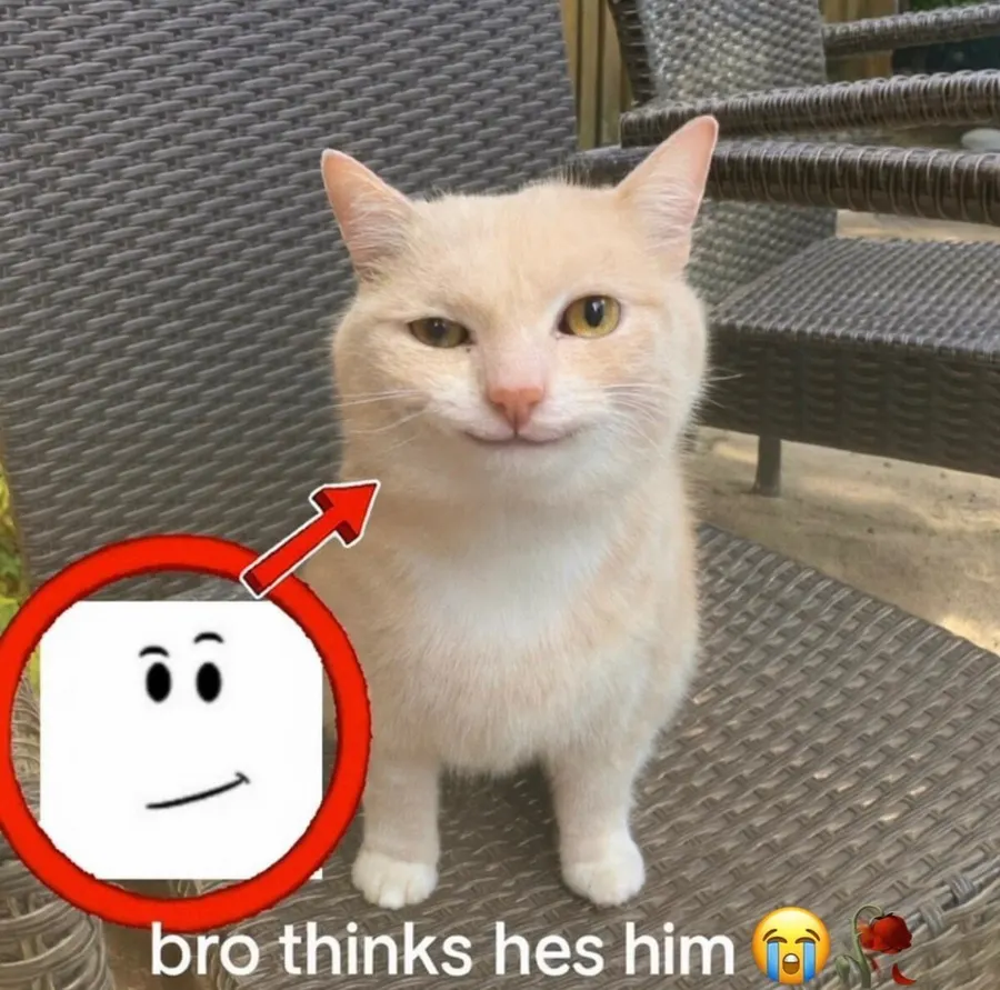Untitled meme