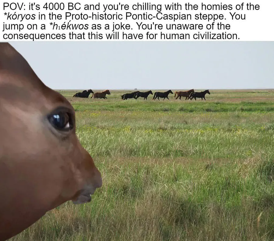 Untitled meme