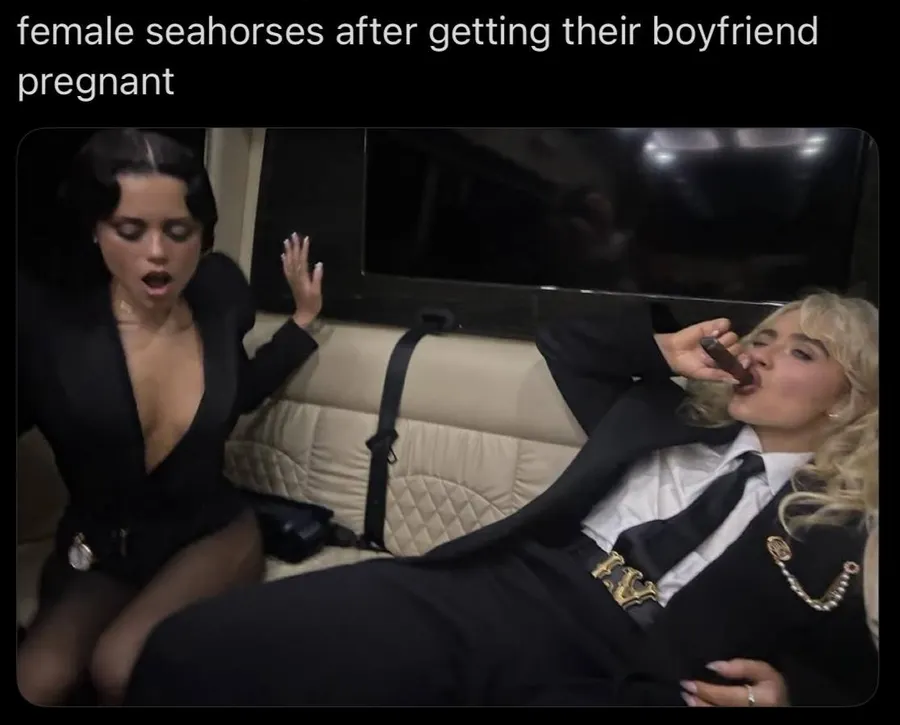 Untitled meme