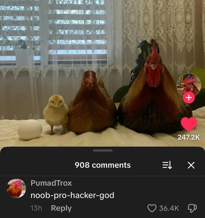 Untitled meme