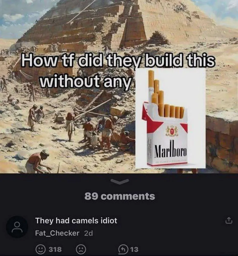 Untitled meme