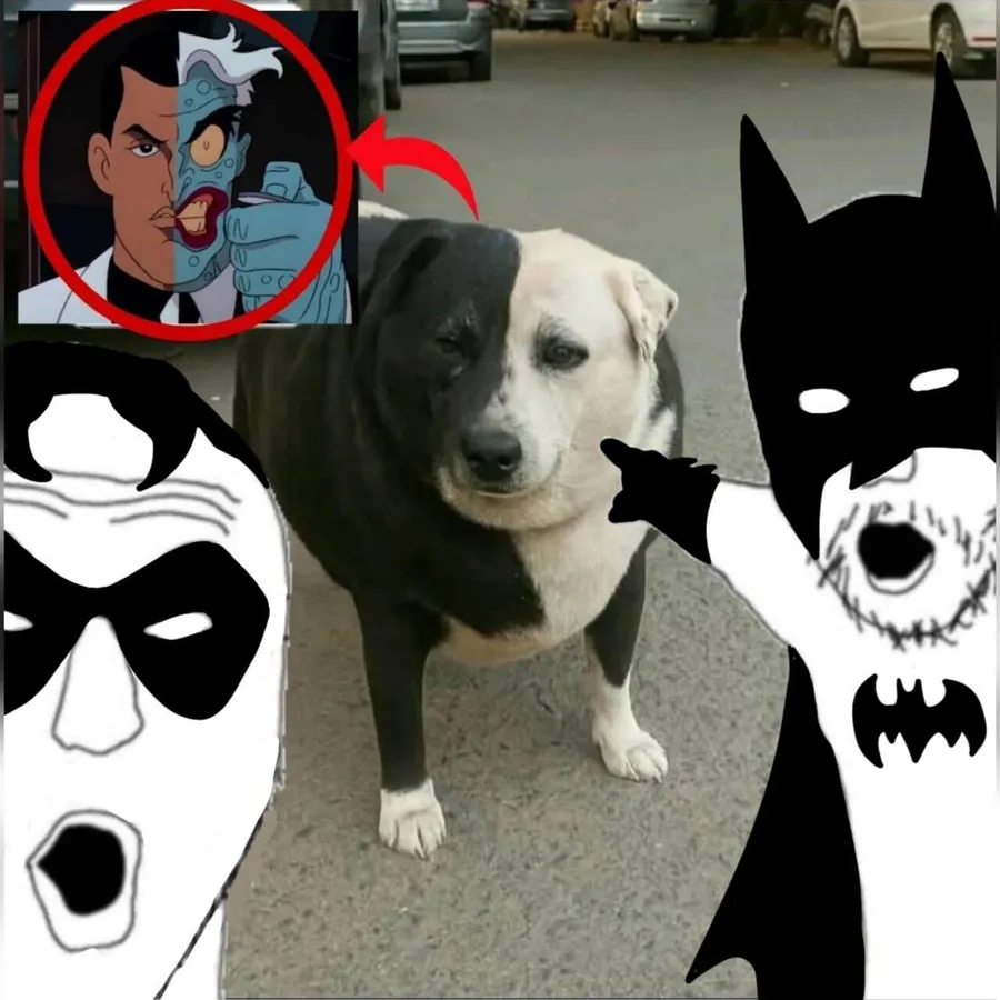 Untitled meme