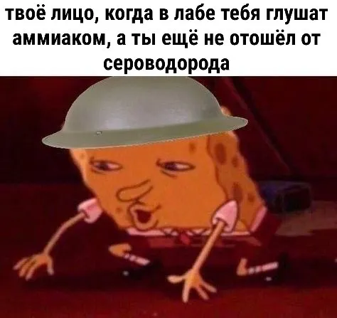 Untitled meme